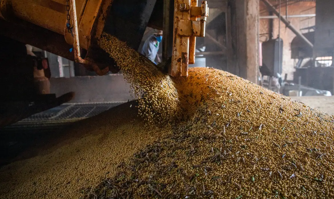 Valor da produção agrícola nacional apresenta queda em 2023