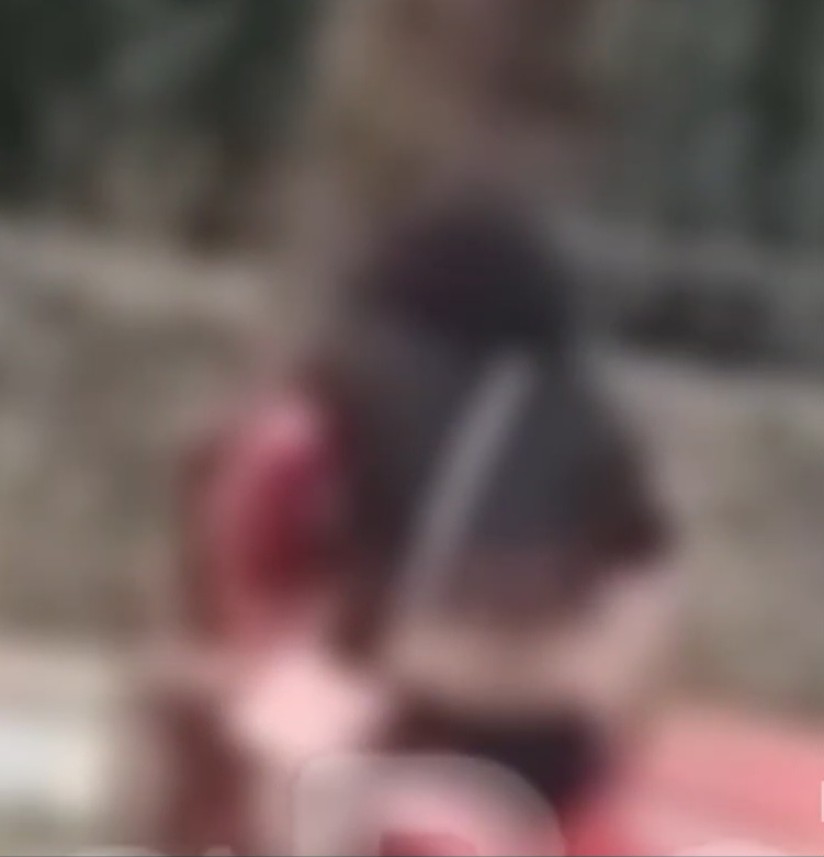 Vídeo: Casal é flagrado fazendo sexo em praça de Ponta Grossa