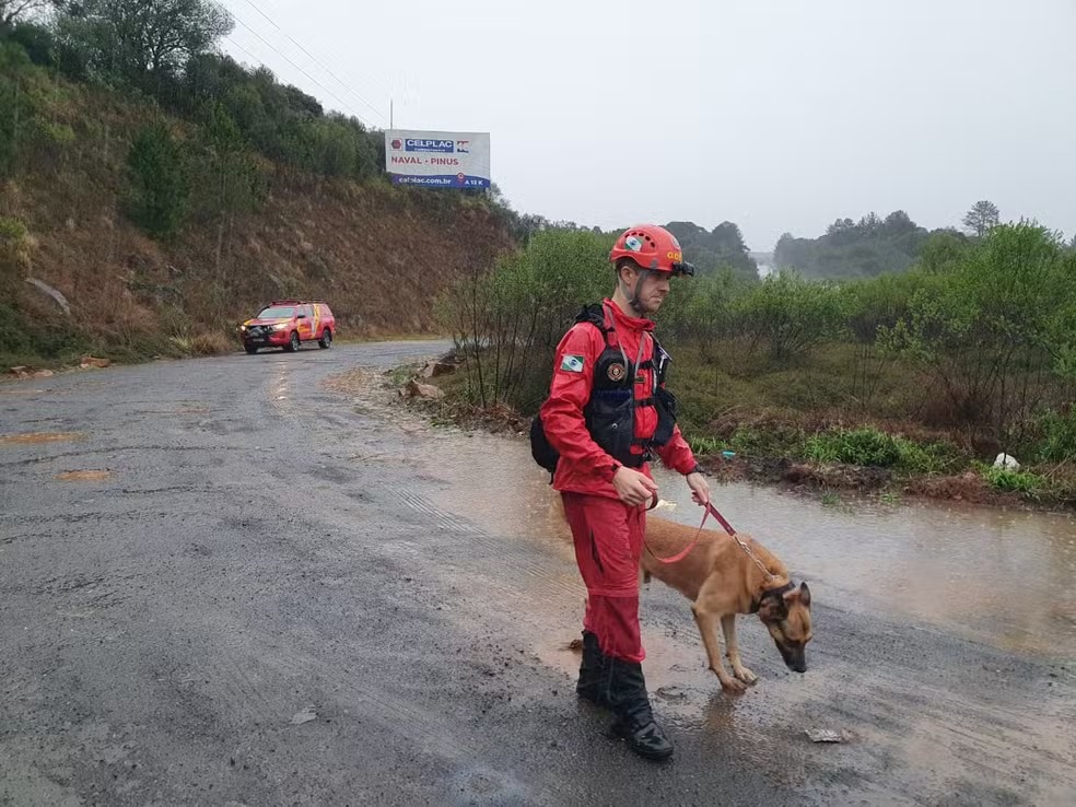 Bombeiros utilizam cães farejadores na busca por assistente social desaparecido no Paraná