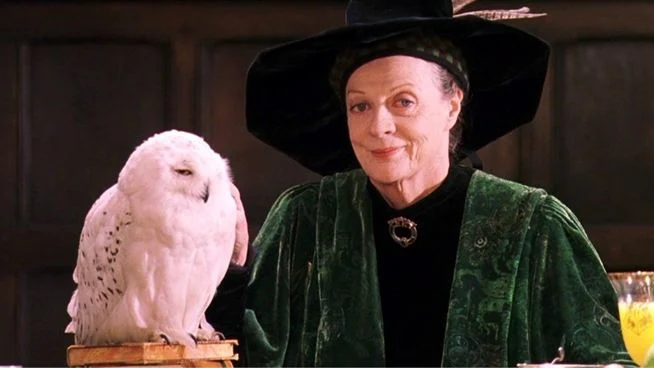 Famosos lamentam a morte da atriz internacional Maggie Smith, a professora Minerva de Harry Potter