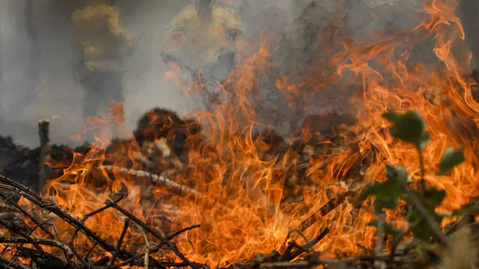 Brasil envia militares para combater incêndios em área de fronteira com a Bolívia