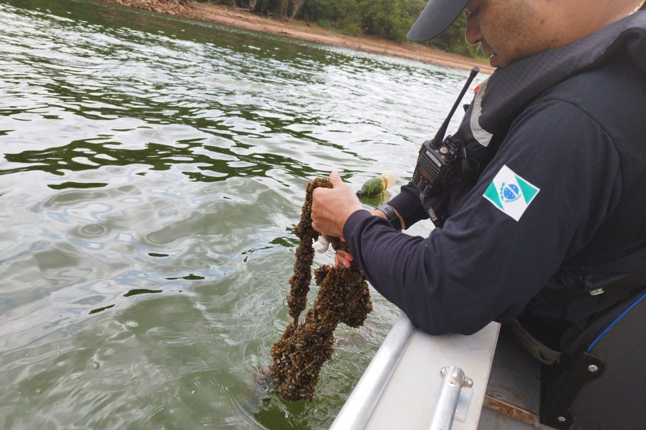 Começa a valer a proibição de pescas no Rio Tibagi e em outros três