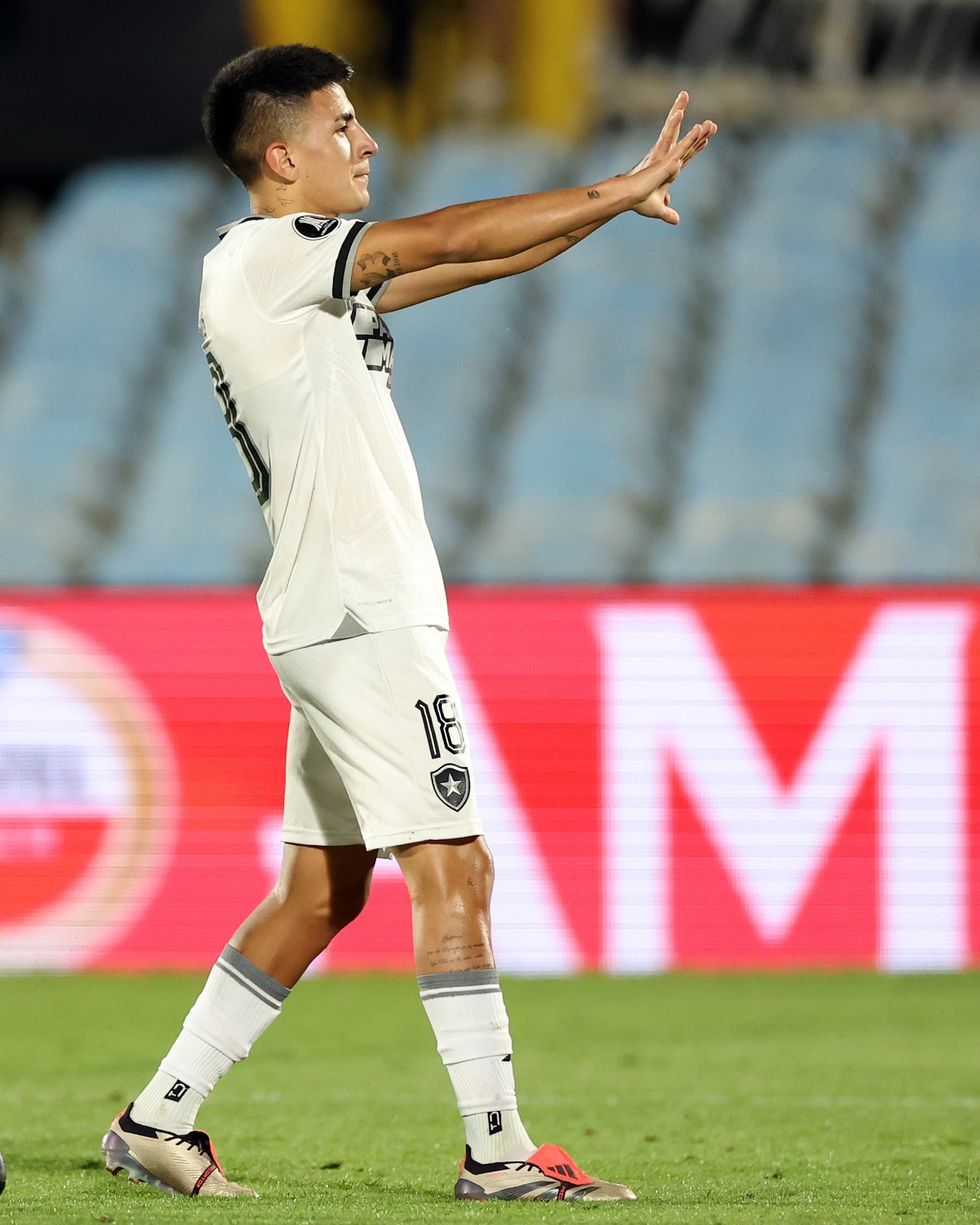 Botafogo avança e faz final da Libertadores com o Atlético Mineiro