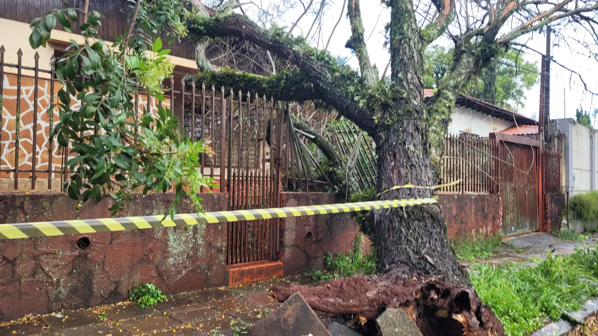 Temporal derruba árvores e 10 mil imóveis ficam sem energia