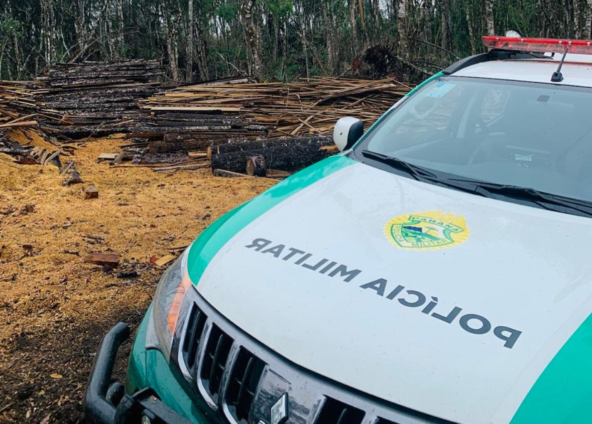 Polícia Ambiental realiza operação contra corte ilegal de árvores no PR