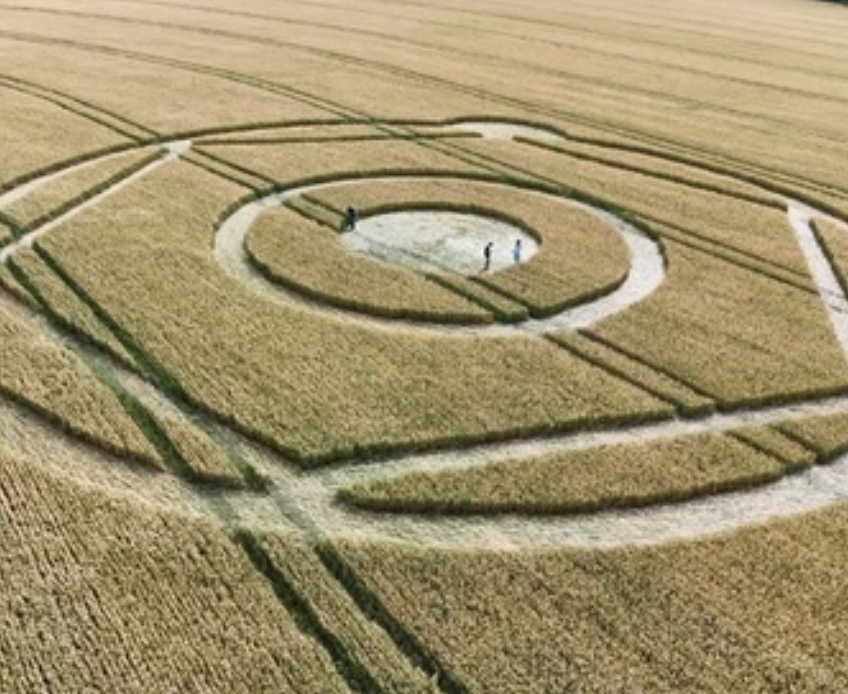 Marcas misteriosas em plantações intrigam moradores de cidade catarinense