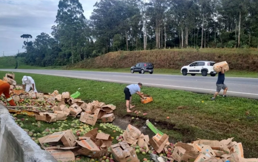 Populares se arriscam para saquear mangas após caminhão tombar no Contorno Leste