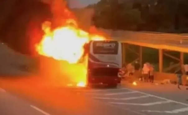 Polícia Civil pede prisão de presidente da Mancha Verde e cinco torcedores por emboscada contra cruzeirenses