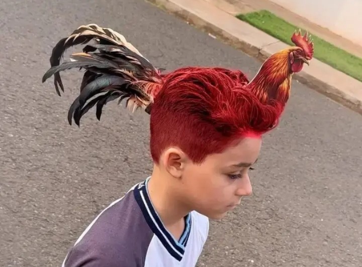 DIA DO CABELO MALUCO: Criança com “penteado de galo” viraliza nas redes sociais após encontro escolar