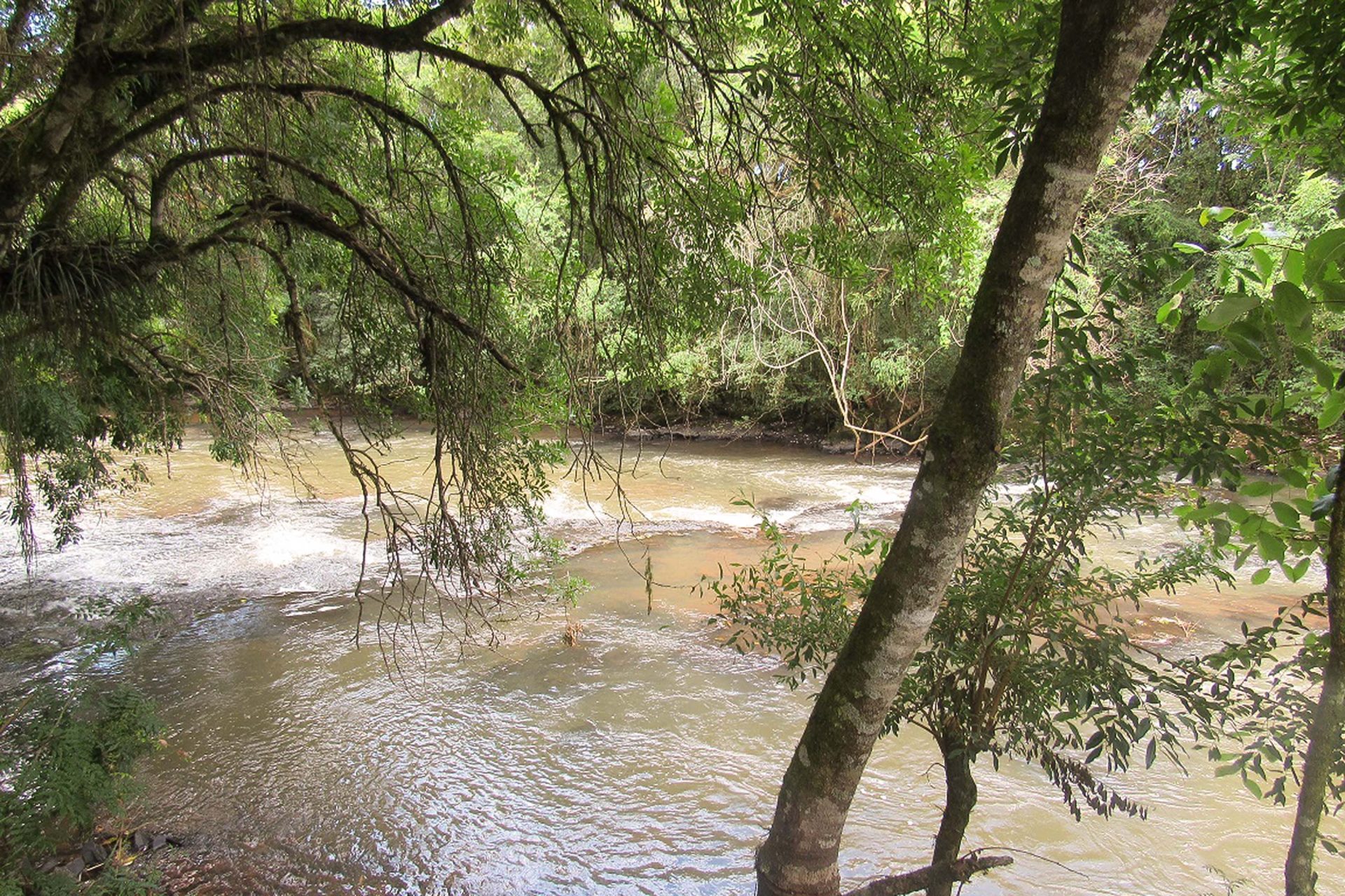 Adolescente morre afogado em rio na região sudoeste do Paraná