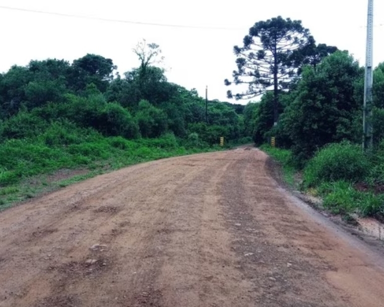  Criança de 3 anos é encontrada morta em tanque de peixes