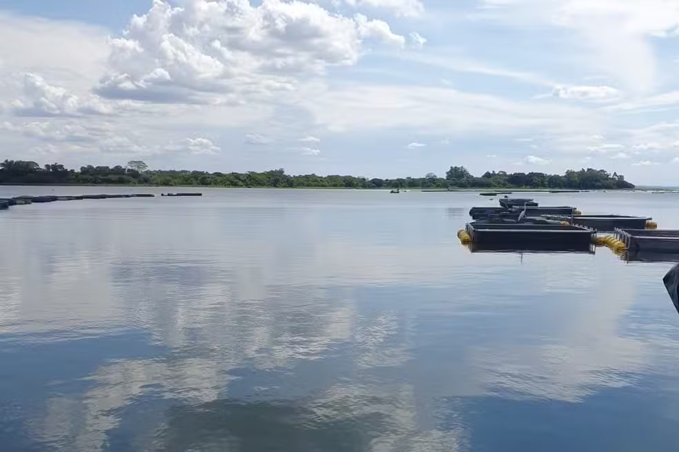 Trabalhador morre afogado após tanque de peixes transbordar no Paraná