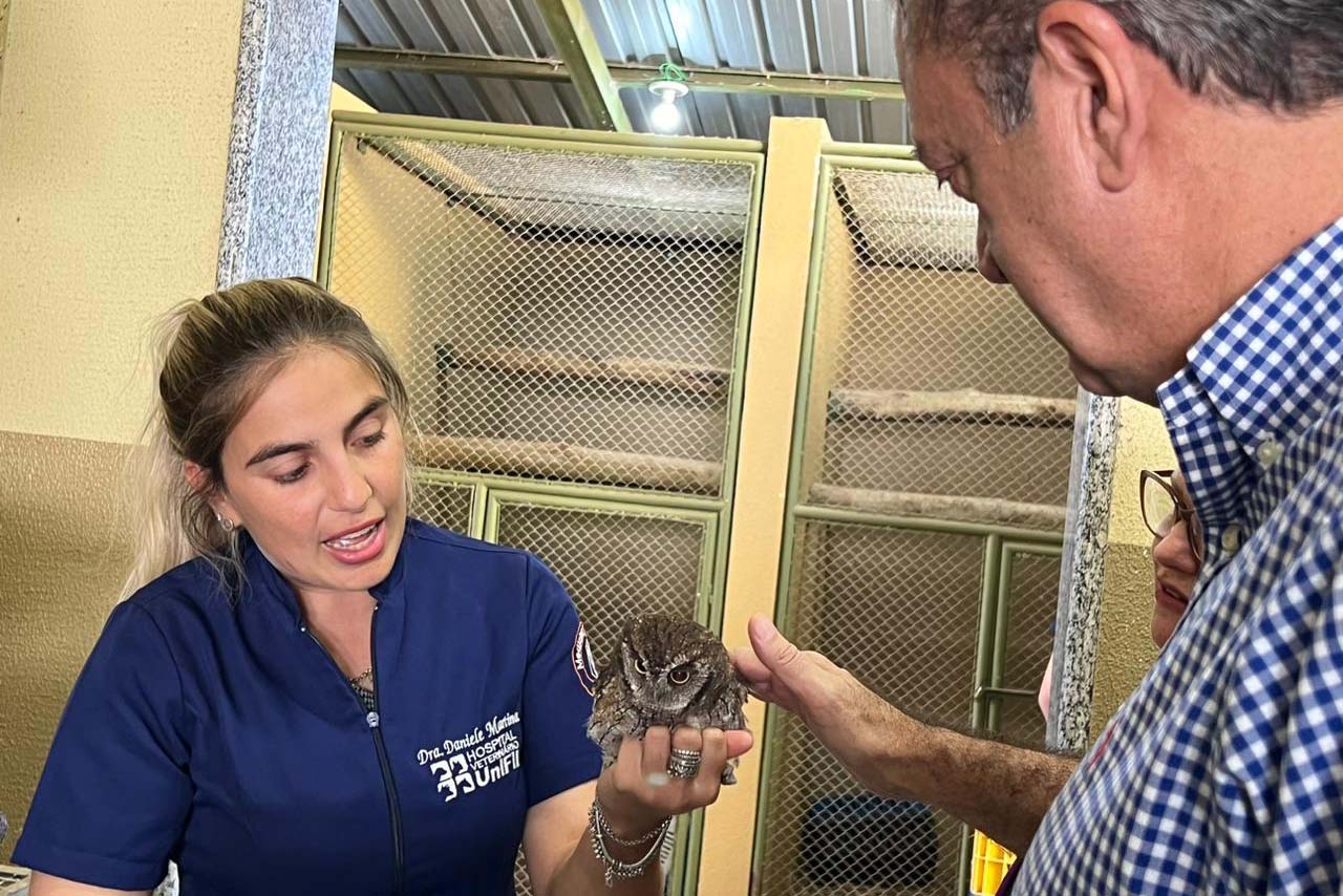 IAT atendeu 3.735 animais silvestres em 2024