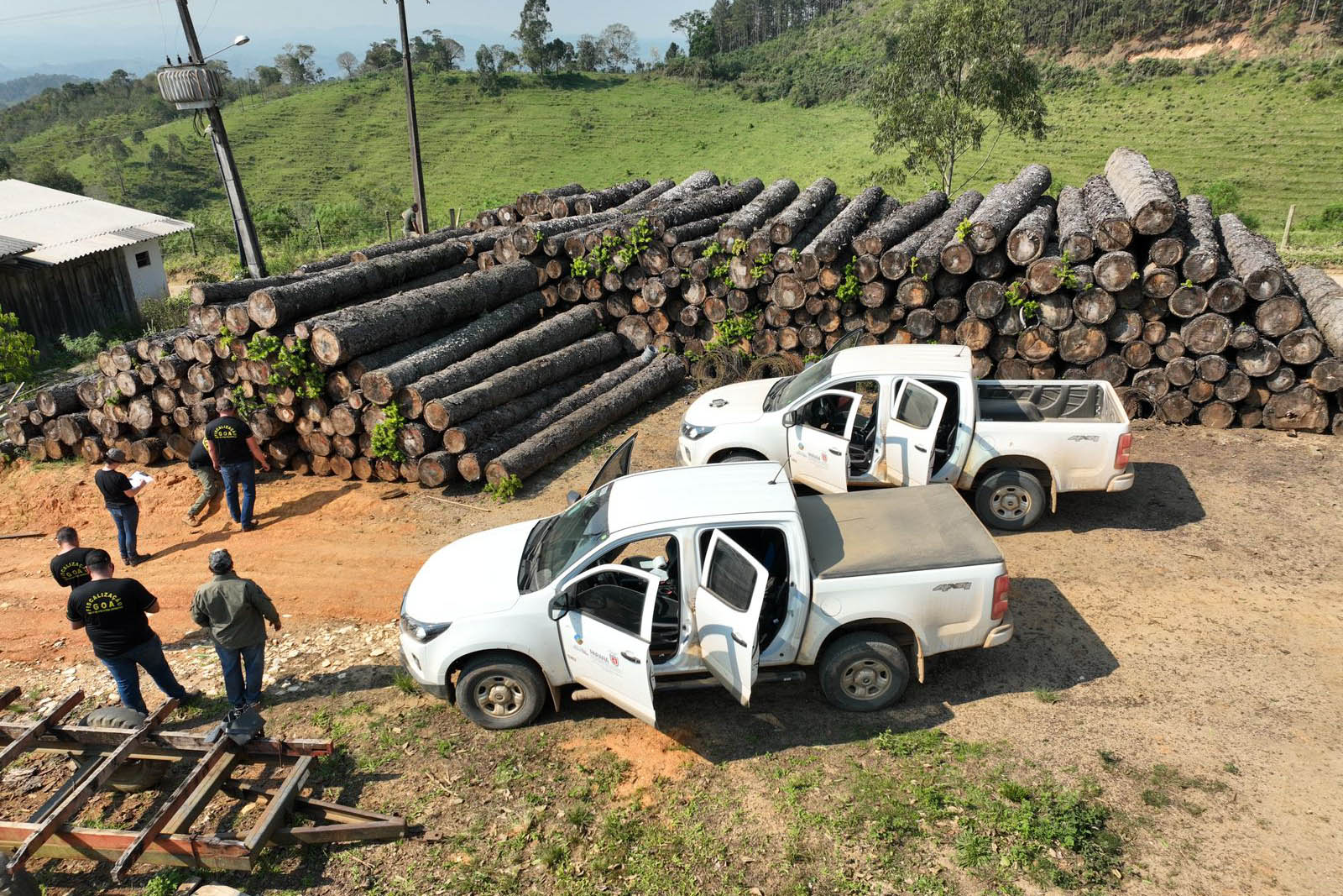 Multa por crimes ambientais em 2024 sobe mais que 24% em relação a 2023 no PR