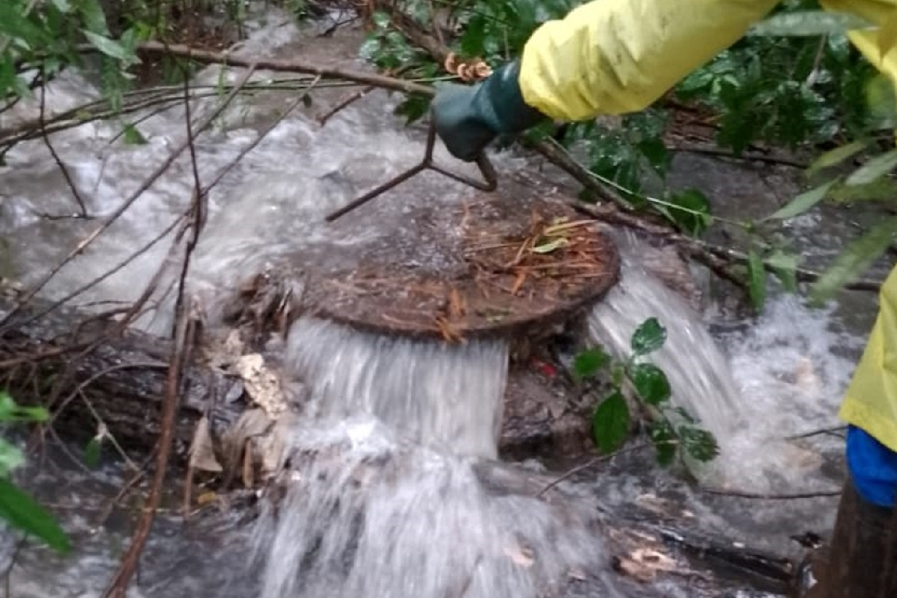 Sanepar orienta como escoar corretamente água da chuva dos imóveis