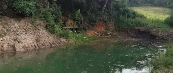 Polícia Ambiental multa proprietário rural por devastar vegetação nativa nos Campos Gerais