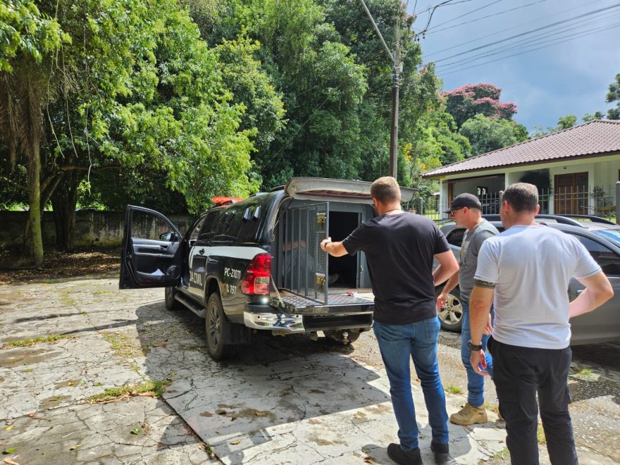 Homem é preso sob suspeita de prática de crime de estupro em Castro