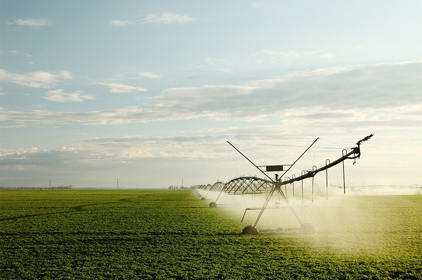 Projeto prevê preço mínimo de arroz, feijão e mandioca