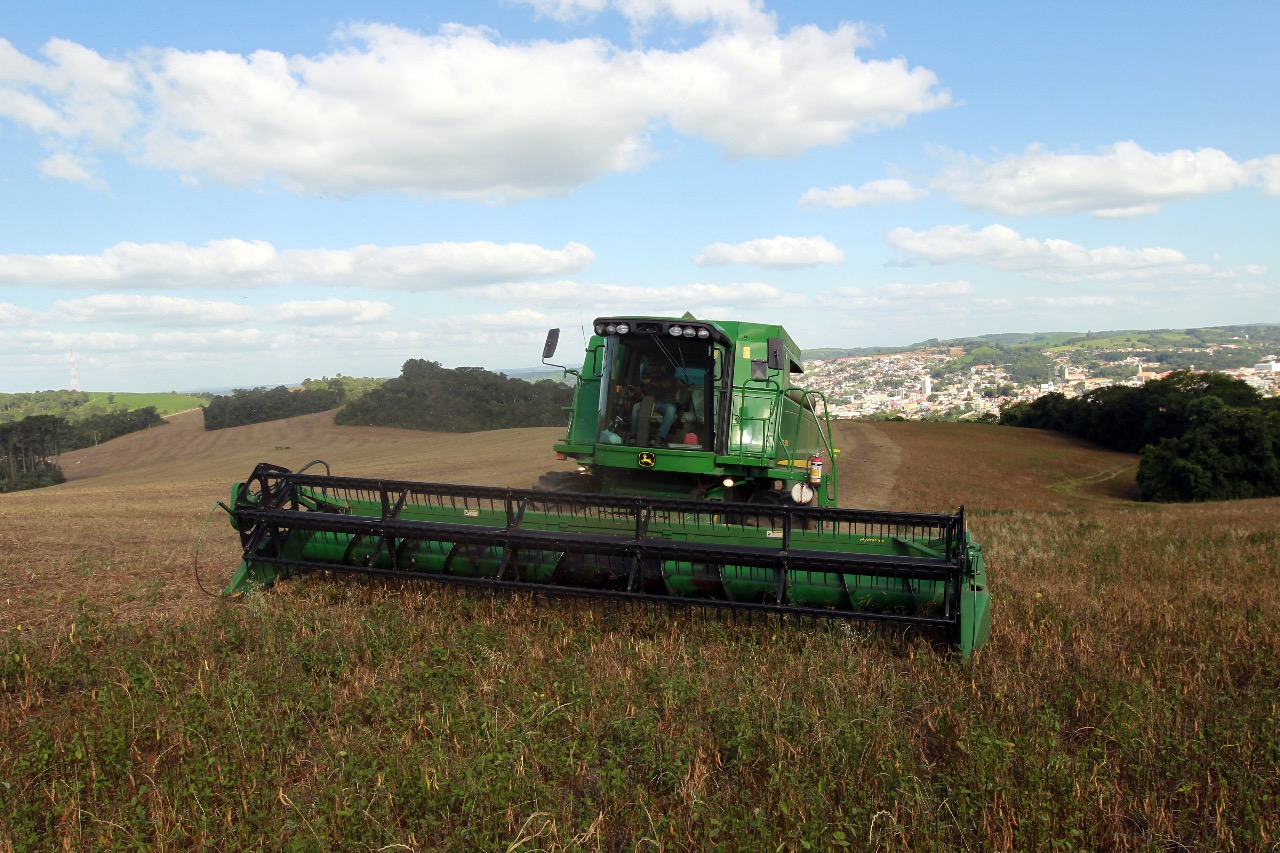 Paraná lidera produção e importação de feijão, e começa a expandir exportação do produto