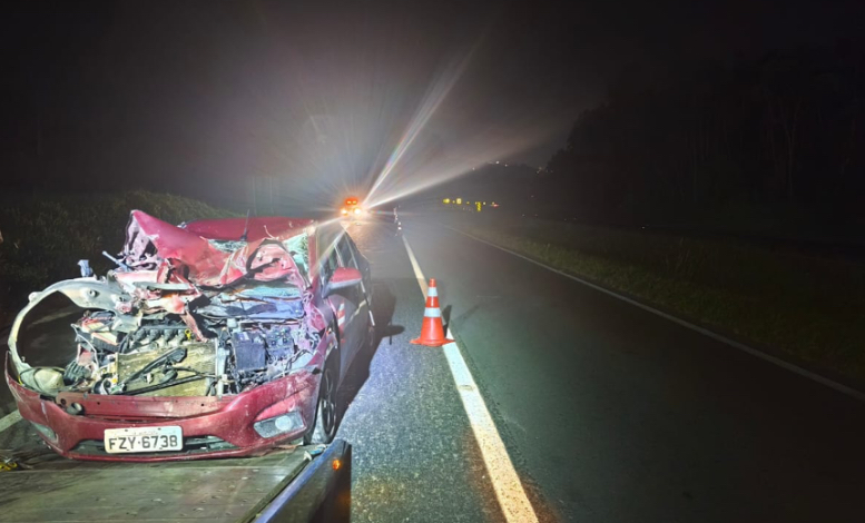 Acidente entre carro e caminhão na PR-151 deixa uma pessoa ferida