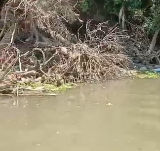 VÍDEO: Corpo em estado avançado de decomposição é encontrado em rio no PR