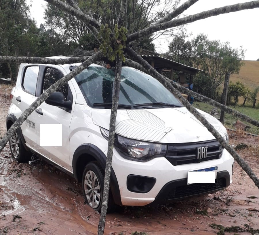 Chuva de granizo causa queda de pinheiro sobre carro em Piraí do Sul