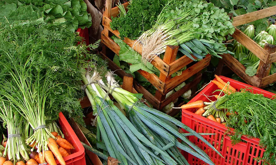 Custo de cesta básica ideal para uma pessoa chega a R$ 432 em abril, diz pesquisa