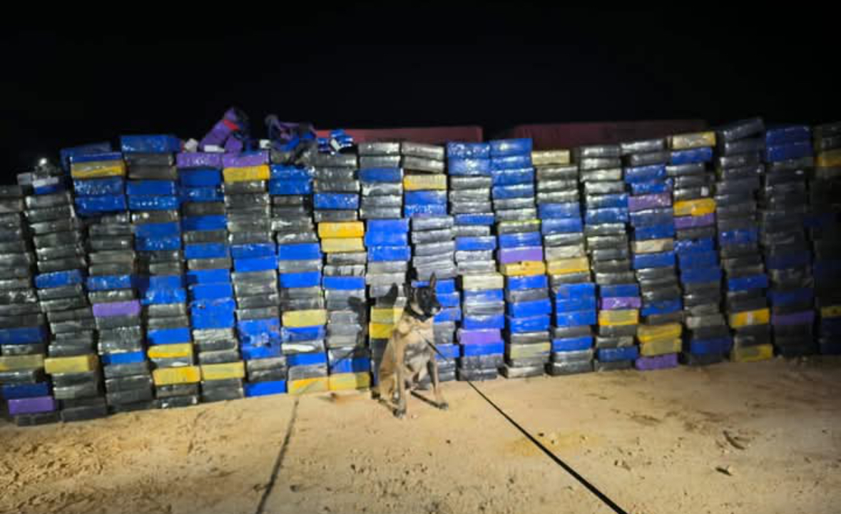 Forças policiais apreendem 4 toneladas de maconha escondidas em carga de farelo de arroz na PR-151