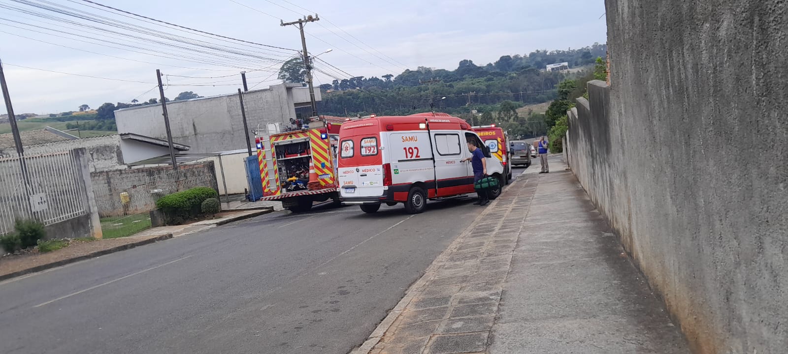 Homem fica ferido e cachorro morre após enxame de abelhas atacar no Colônia Dona Luiza