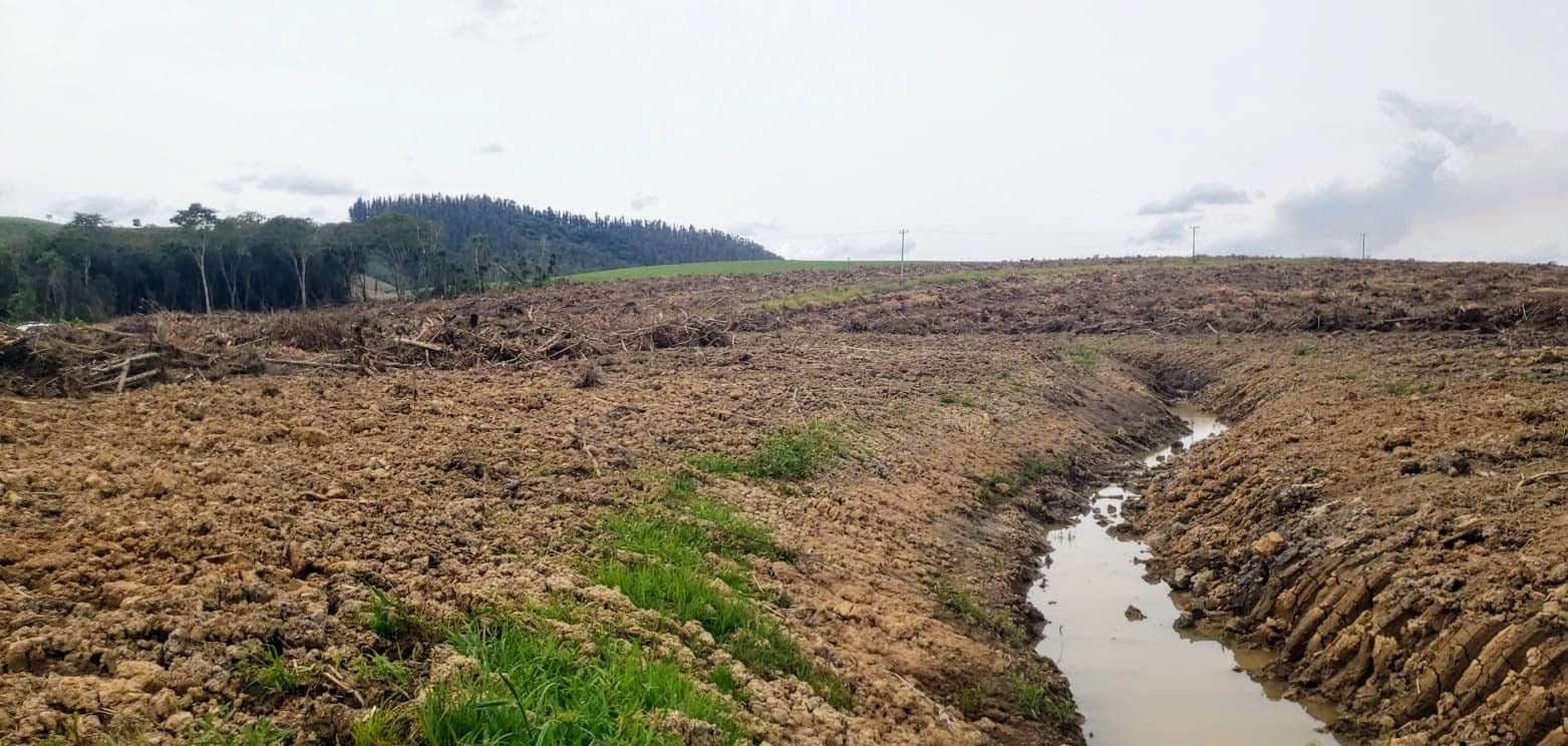 Polícia Ambiental embarga áreas e aplica R$ 70 mil em multas por crimes ambientais em duas cidades da região
