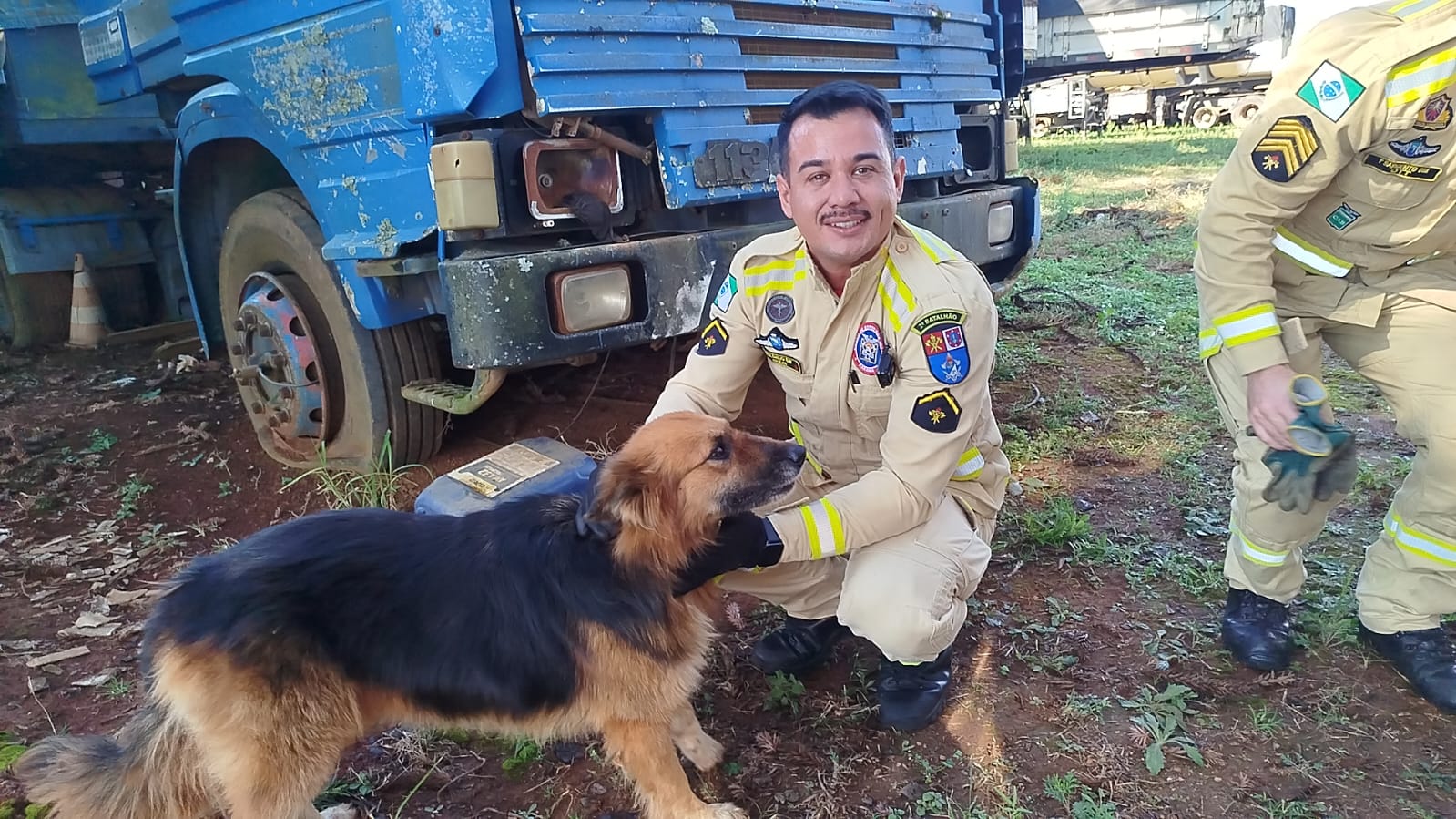 VÍDEO: Cadela presa em caçamba é resgatada pelos bombeiros em Ponta Grossa