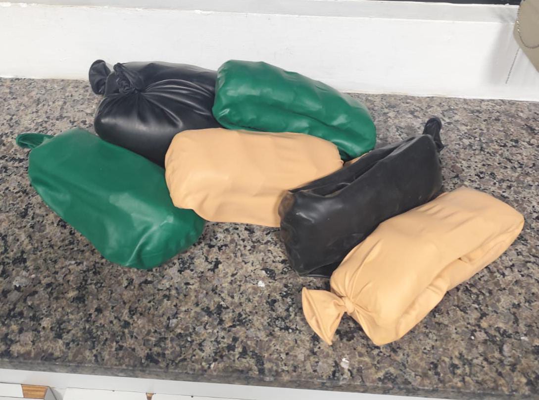 PRE apreende mais de 7 kg de haxixe em ônibus durante operação com cães na PR-151