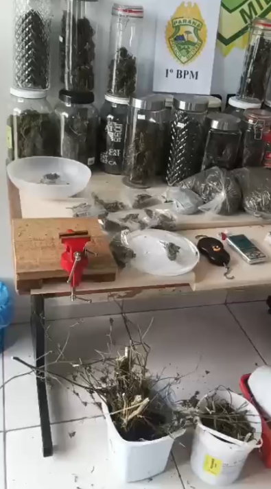 Drogas, arma e esquipamentos de refino são apreendidos pela PM em Ponta Grossa