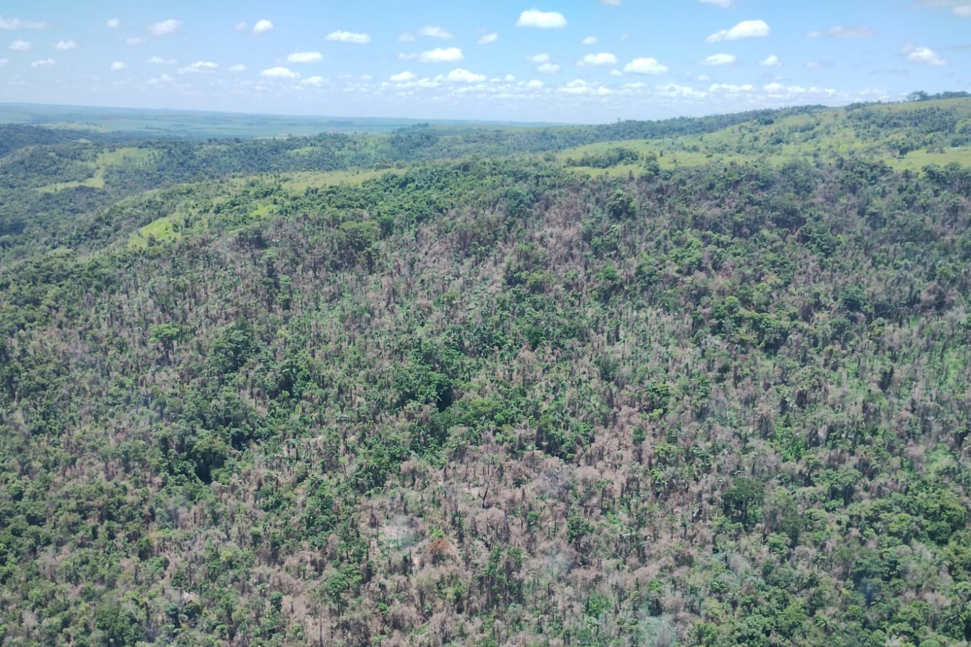 Queimadas ilegais resultam em R$ 7,4 milhões em multas a fazendas no PR