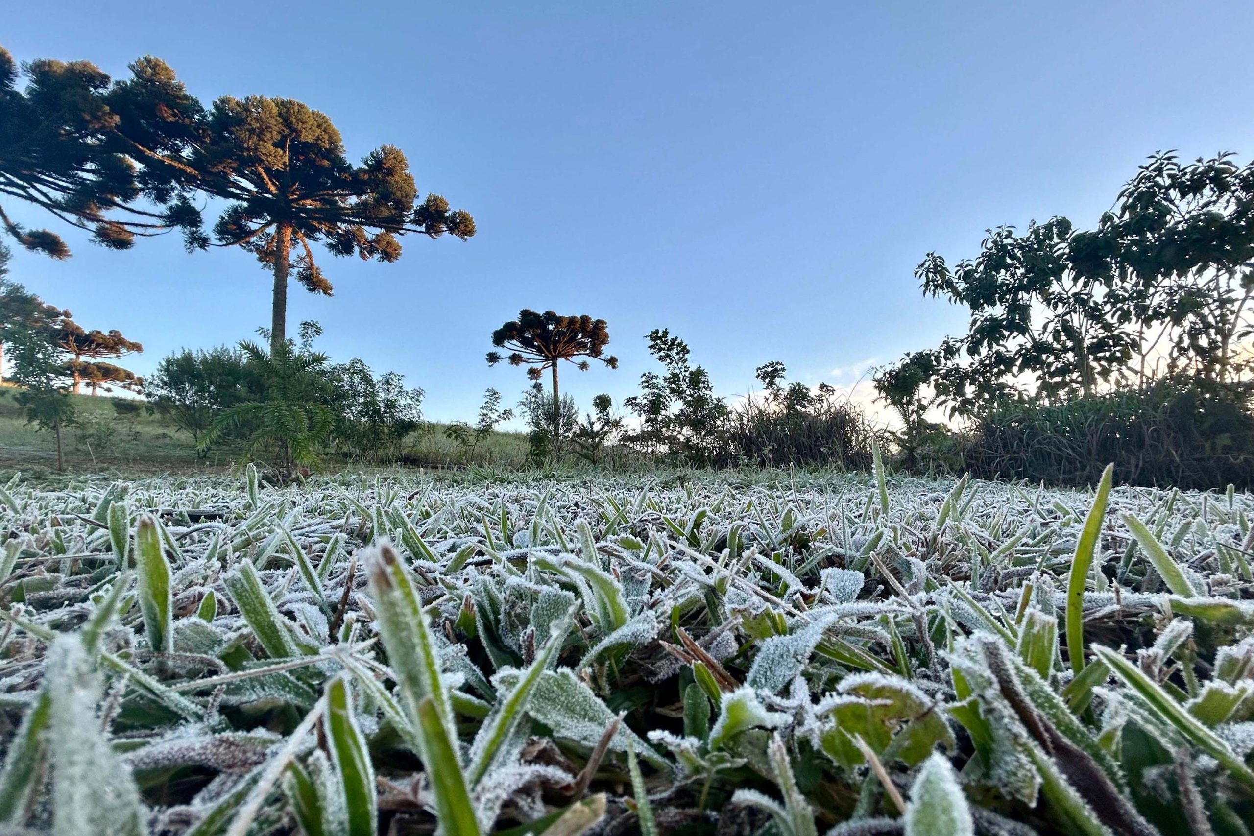 Frio faz presença no PR: termômetros podem chegar a 0ºC nos próximos dias