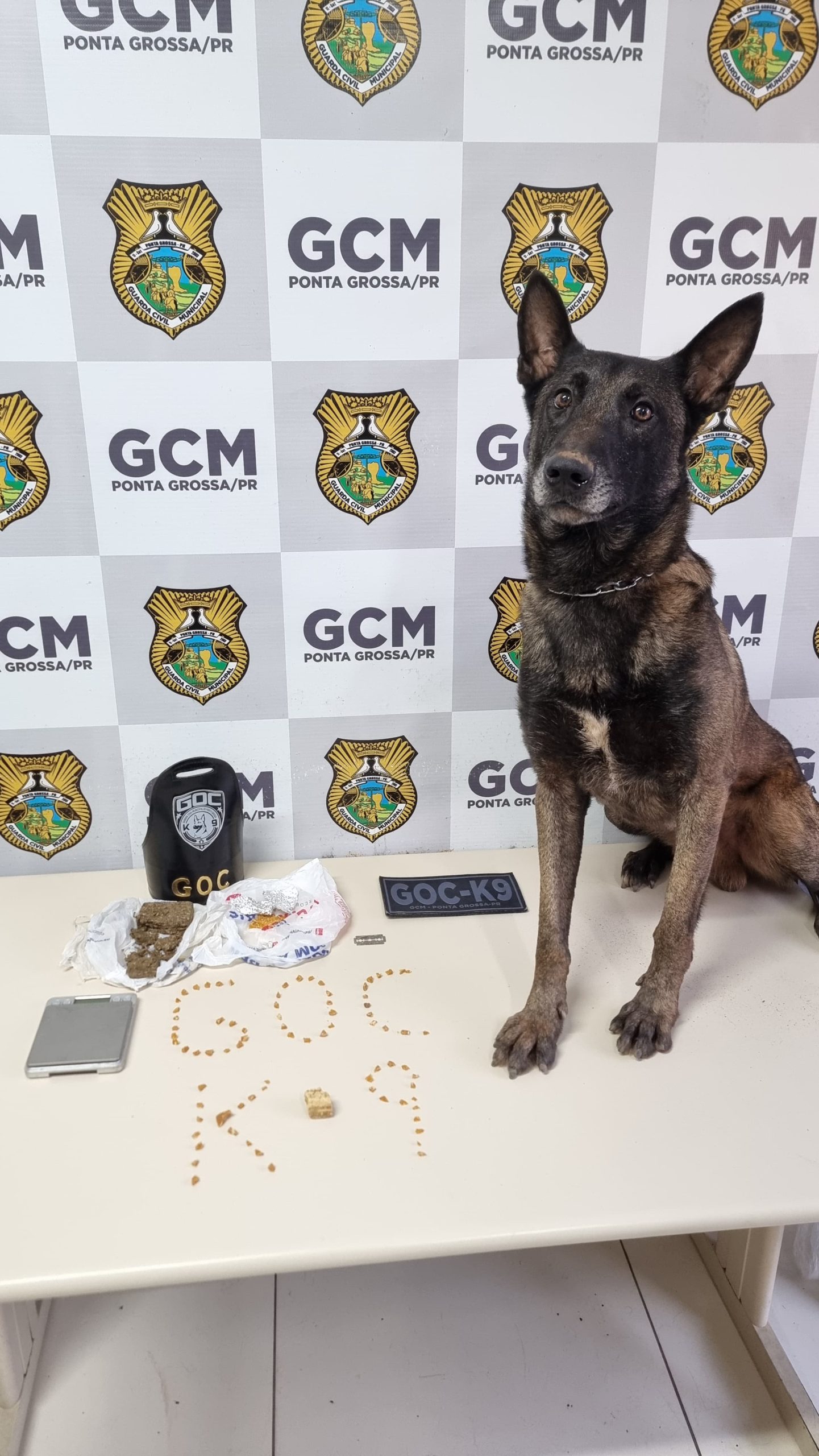 GCM prende homem e apreende entorpecentes de possível ponto de tráfico, em PG