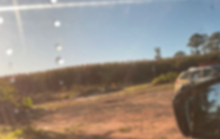 Corpo de homem nu é encontrado em área de reflorestamento em Jaguariaíva; caso segue sob investigação