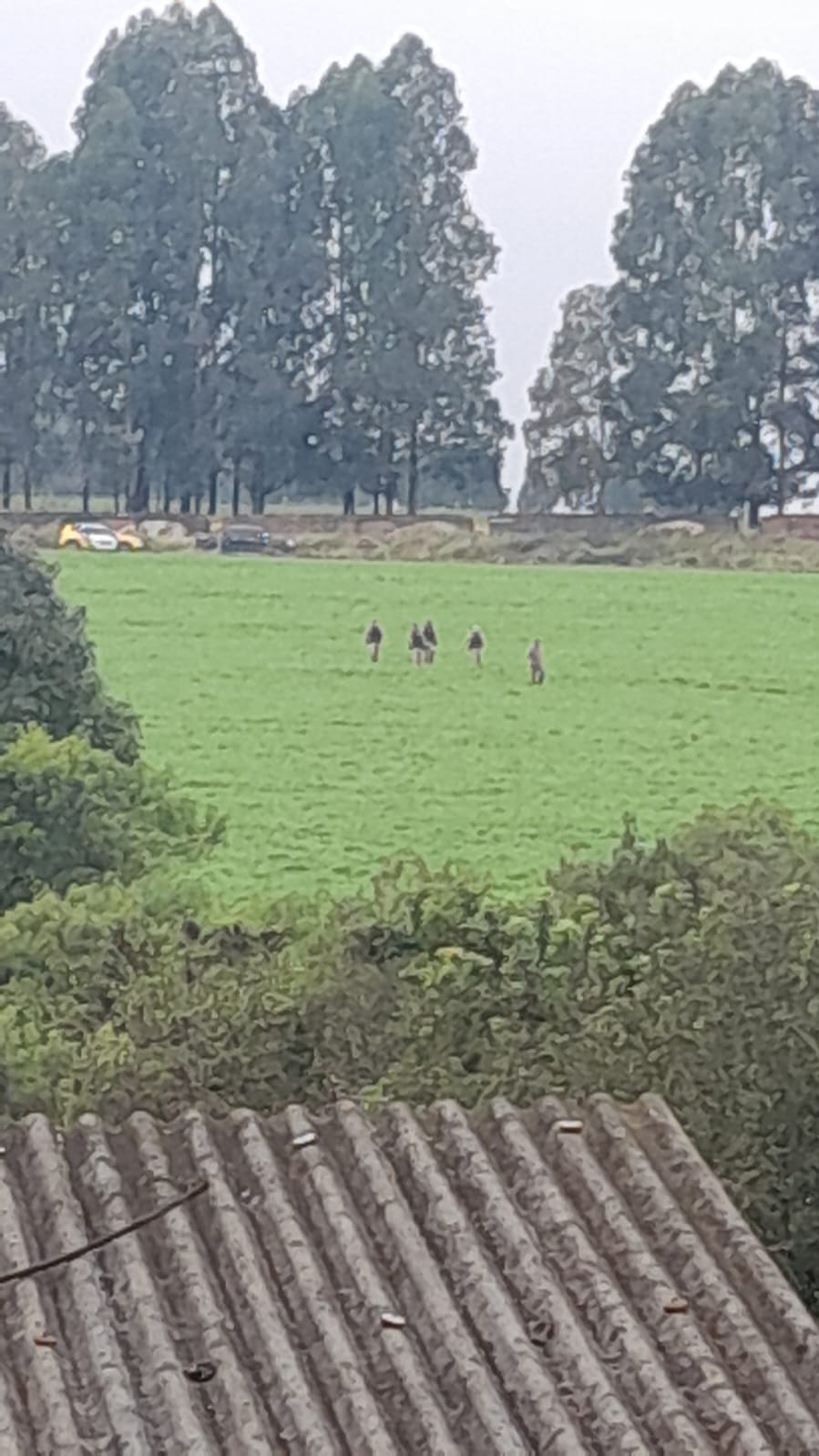 Polícia desmantela ponto de cultivo de drogas e apreende armas no Jardim Cachoeira, em Ponta Grossa
