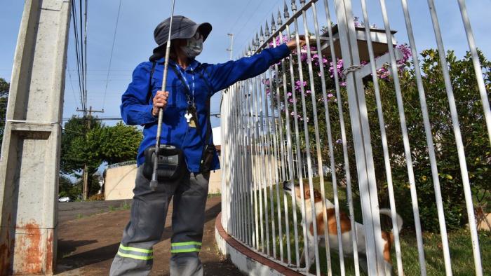 Ataques de cães prejudicam trabalho de leituristas, garis e carteiros em cidade dos Campos Gerais