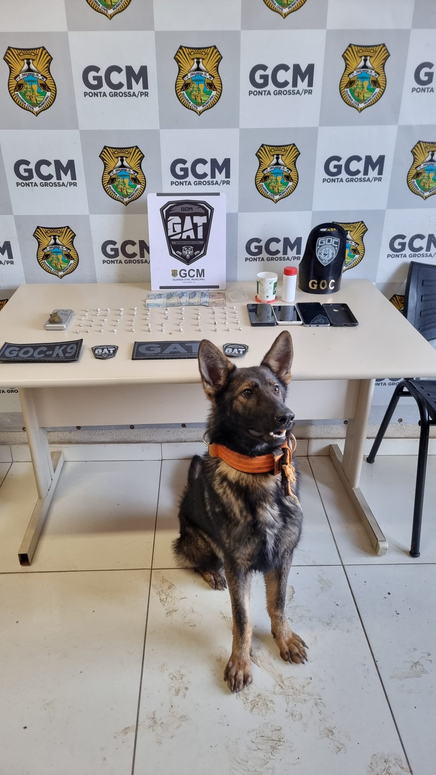 GCM desmantela ponto de tráfico de drogas na Vila Mariana, em PG