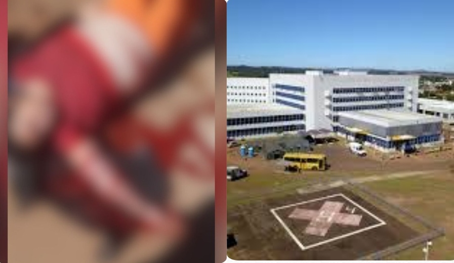 Mulher atacada por cães em Castro é transferida para o HU-UEPG