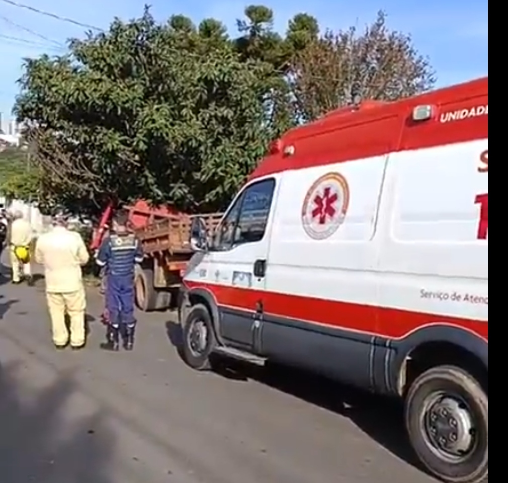 Idoso embriagado perde controle de caminhão e colide contra árvore no bairro Nova Rússia, em PG
