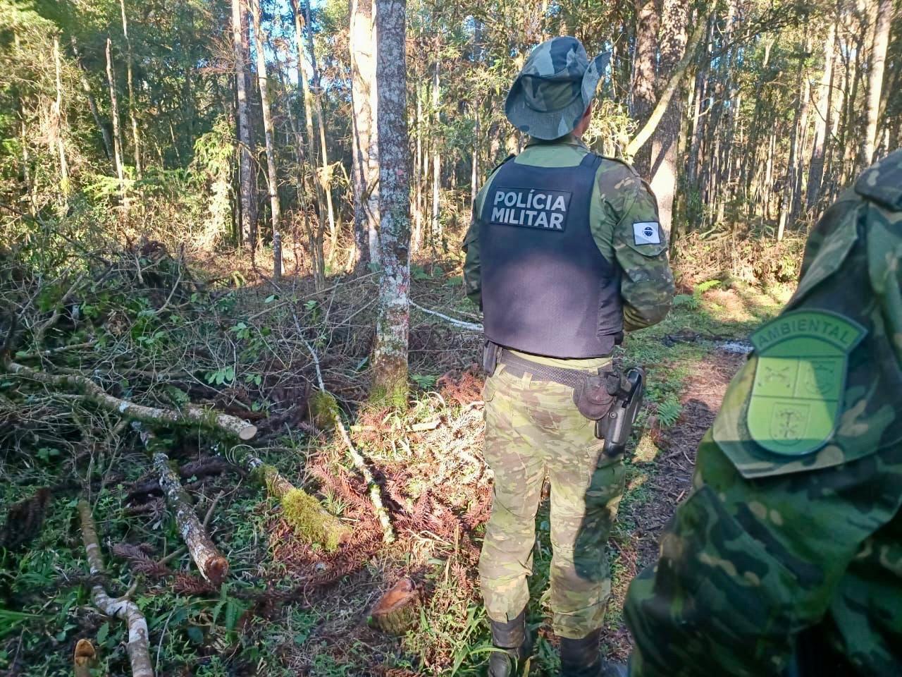 Proprietário rural é multado pela Força Verde em R$ 234 mil após destruir vegetação de 32 hectares