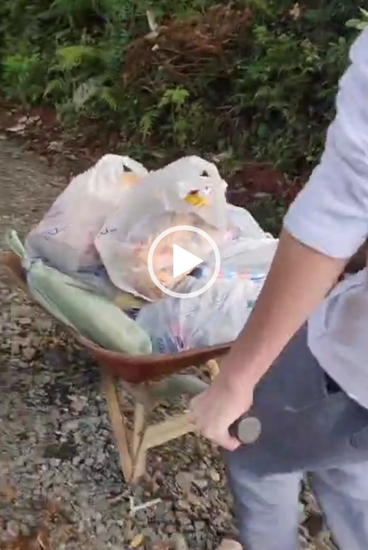 Vídeo: Moradora precisa levar compras em carrinho de mão por falta de asfalto em PG