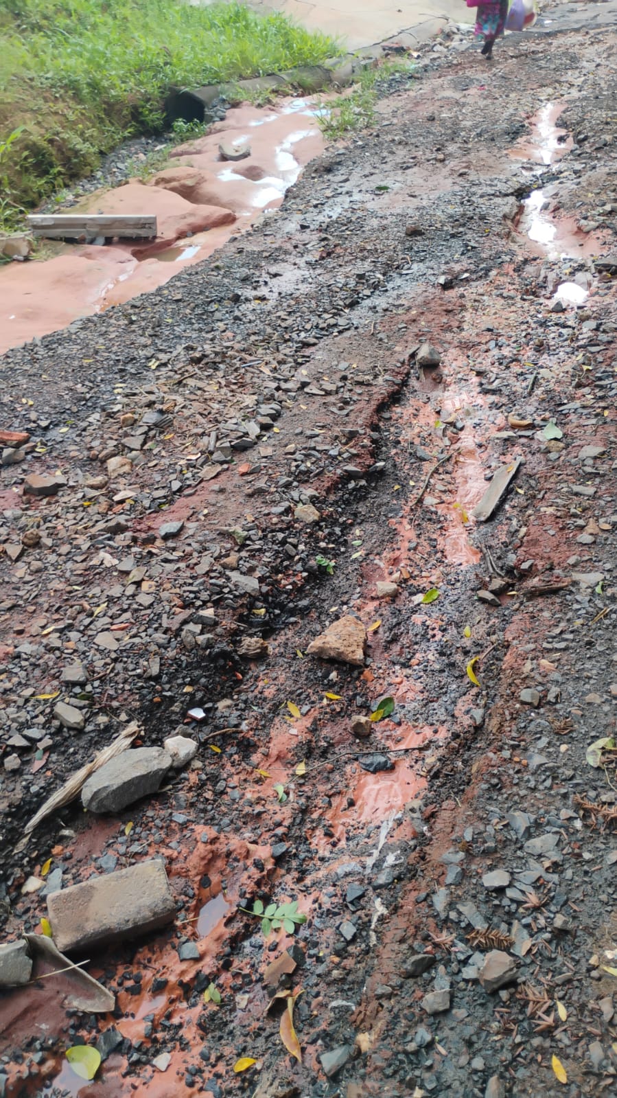 Vídeo: Moradores da Ronda vivem abandono, enchentes e isolamento em PG