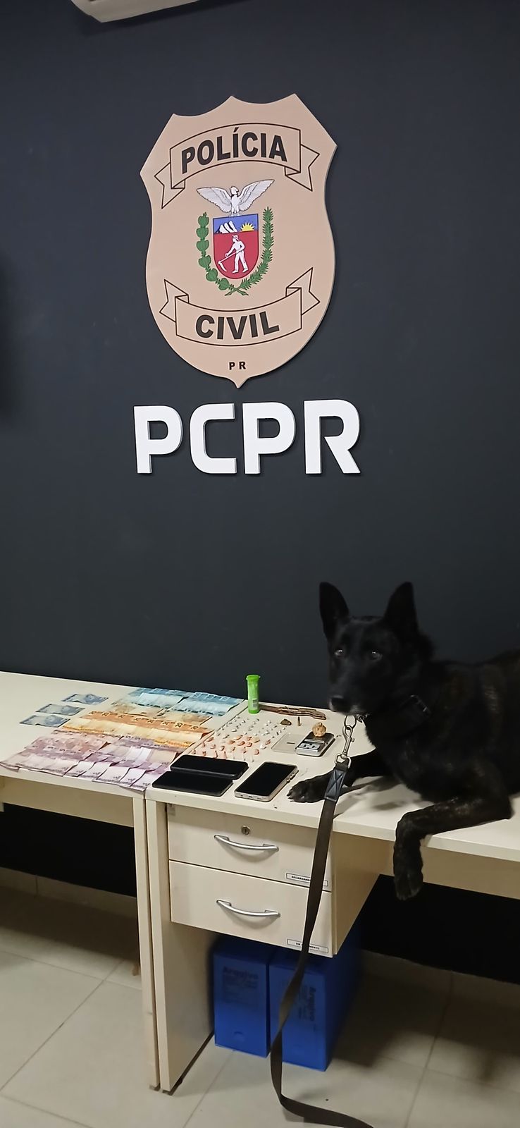 Casal é preso em flagrante por tráfico de drogas nos Campos Gerais 