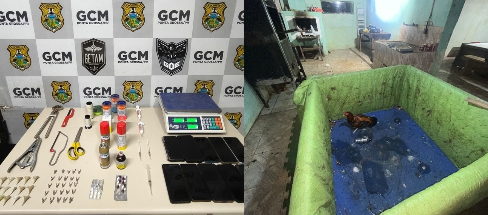 30 pessoas são detidas por participarem de rinha de galos em chácara de PG 