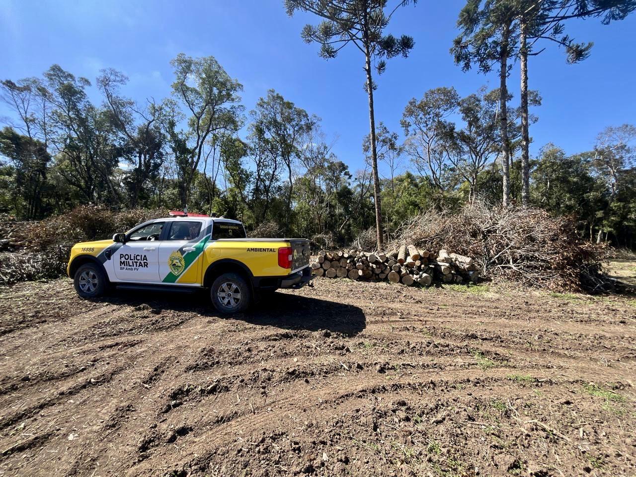 Força Verde flagra desmatamento em Ponta Grossa e aplica multa de R$ 48 mil