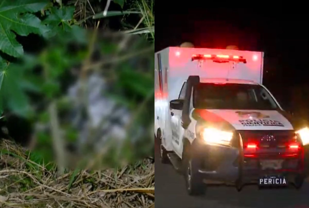Corpo de homem é encontrado em matagal