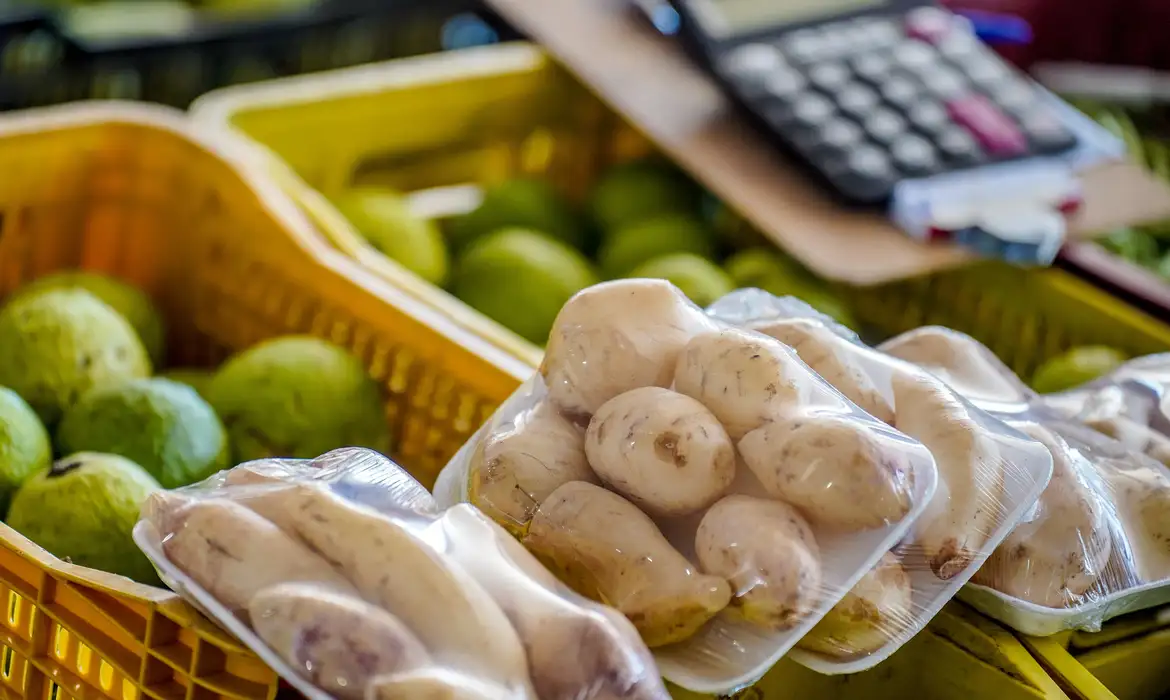 Preços da batata e da cebola apresentam queda no país; Alface fica mais cara no PR